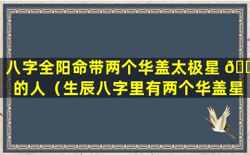 八字全阳命带两个华盖太极星 🍁 的人（生辰八字里有两个华盖星是什么意思）